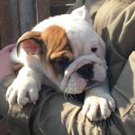 Edgar Evans - @edgarenglish - Instagram