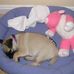 Edgar Ewing - Facebook