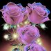 Edgar Facio - Facebook