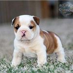 Edgar Farfan Villanueba - @farfanvillanueba - Instagram