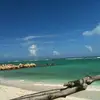 Edgar Farris - @edgar.farris - TikTok