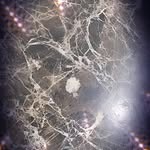Edgar Faust Fellce - @koajung77 - Instagram