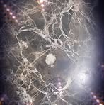 Edgar Faust Fellce - Facebook