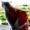 edgar ferrís duart - @dy83tcehtgf9 - TikTok