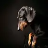 edgarferrusca_7 - @edgarnunilove5354 - TikTok
