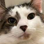 Edgarfield - @bedgarfield - Instagram