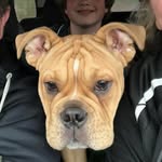 Edgar - @edgar.floyd.18 - Instagram