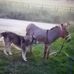 Edgar Foreman - Facebook