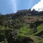 Edgar Forero - @edgar.forero.5095 - Instagram