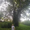 Edgar Forero Huertas - @edgar.forero - TikTok