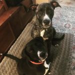 Edgar Friendly and Minniecakes - @eddiespaghetti_minniecakes - Instagram