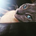 Edgar Friendly. Fuzzy Goblin. - @mister_edgar_friendly - Instagram