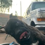 Adrian Rodriguez - @edgar_gang_rodriguez_ - Instagram