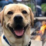 Gordon Edgar - @gordon_edgar310 - Instagram