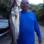 Edgardo Handal - @edgardohandal - Instagram