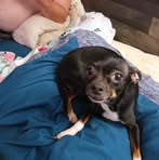 Edgar Harrington - Facebook
