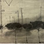 edgar honetschläger - @edgar.honetschlager - Instagram