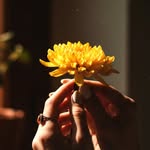 edgarholmes - @edgarholmespoetry - Instagram