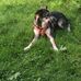 Edgar Horn - Facebook