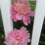 @edgarhuntington - Instagram