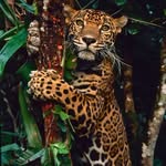 Edgar Islas - @edgarisca - Instagram