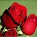Edgar A Jaime - Facebook
