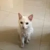 Héroe - @edgarjose730 - TikTok