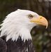 Edgar C Knapp - Facebook