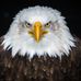 Edgar Knapp - Facebook
