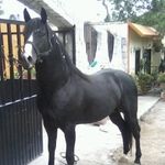 Edgar Omar Mtz Labastida - @edgaromarmtzlabastida - Instagram