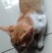 Edgar Lagman - Facebook