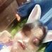 Edgar Phillip Lagman - Facebook