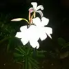Edgar Lamas - @edgar.lamas47 - TikTok