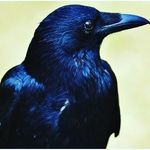 @edgar_lancaster369 - Instagram