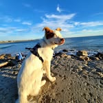 Edgar Landeros - @enzo_and_human - Instagram
