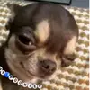LATIN_EDGAR - @latin_edgar4 - TikTok
