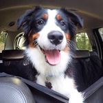 Edgar LeBron - @edgar_aussie - Instagram