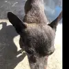 edgarleonardo_2 - @edgarleonardo_2 - TikTok