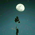 Edgar_Levine582 - @edgar_levine582 - Instagram