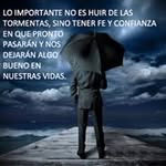 Edgar Levine - @edgarlevine3136 - Instagram