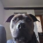 Edgar Light - @edgarsays_nope - Instagram