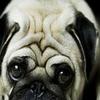 Edgar Light - @edgarlight - TikTok