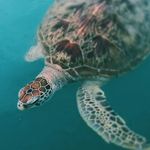 Edgar Lin - @edgar_lim - Instagram