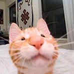 Edgar Lin - Facebook