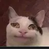 Edgar Linton - @edgar.linton - TikTok