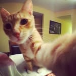Edgar Linton - @mredgarlinton - Instagram