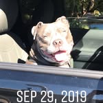 Edgar Lituma - @elituma172019 - Instagram