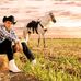 Edgar Lobo - Facebook