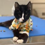 Lord Edgar, Maker Of Muffins - @lord_edgar_of_philly - Instagram