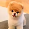 Edgar Manuel - @edgar.manuel93 - TikTok